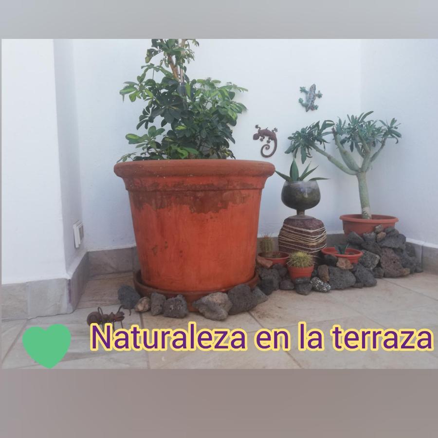 Love For Lanzarote Holidays House Playa Blanca  Bagian luar foto